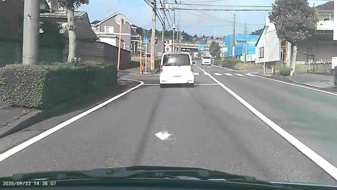 Village life in japan ✨️🍂😍🇯🇵 #japan #tokyo #yokohama #live #youtube #automobile #streetphotography