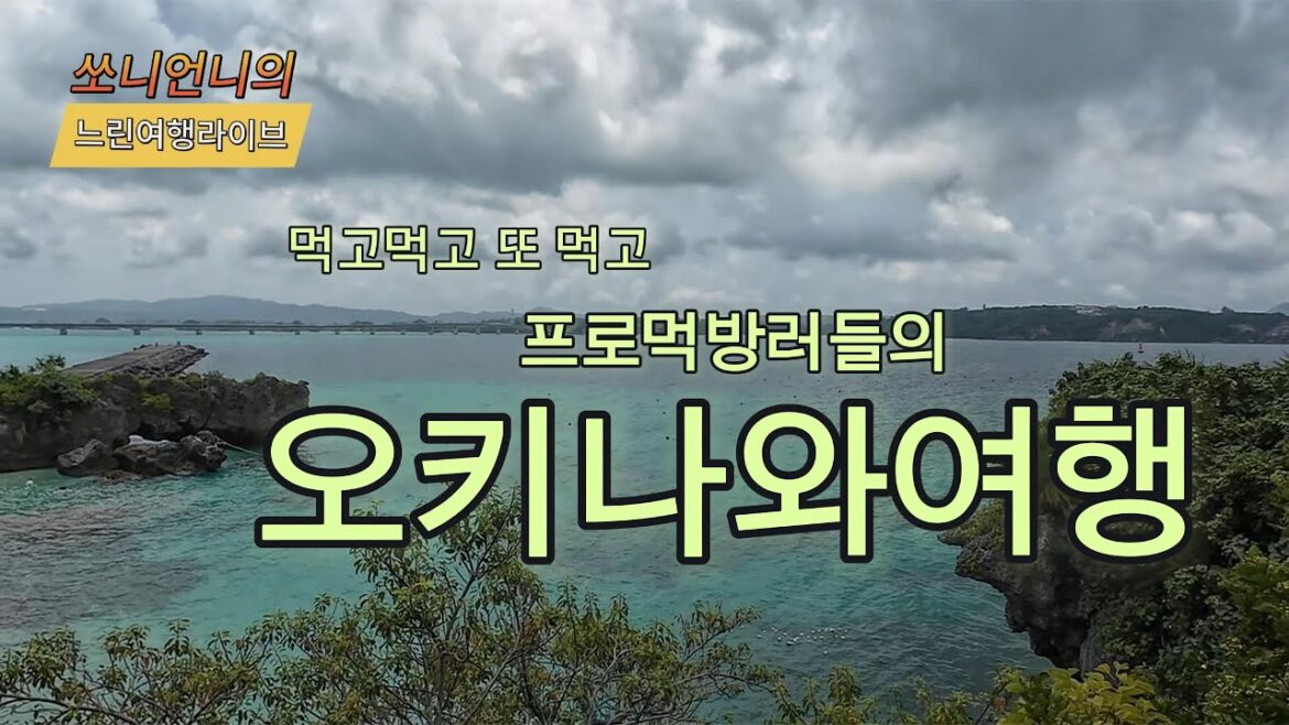 일본한달살기 좋은 오키나와 국제거리 나하나고 맛집 렌트카 드라이브코스