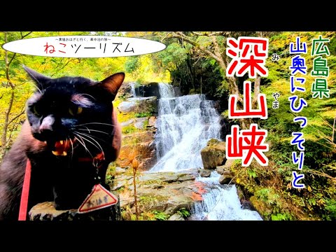 【猫と旅行】静寂の『深山峡』山奥の素敵スポット【広島県】 【猫と旅行】静寂の『深山峡』山奥の素敵スポット【広島県】