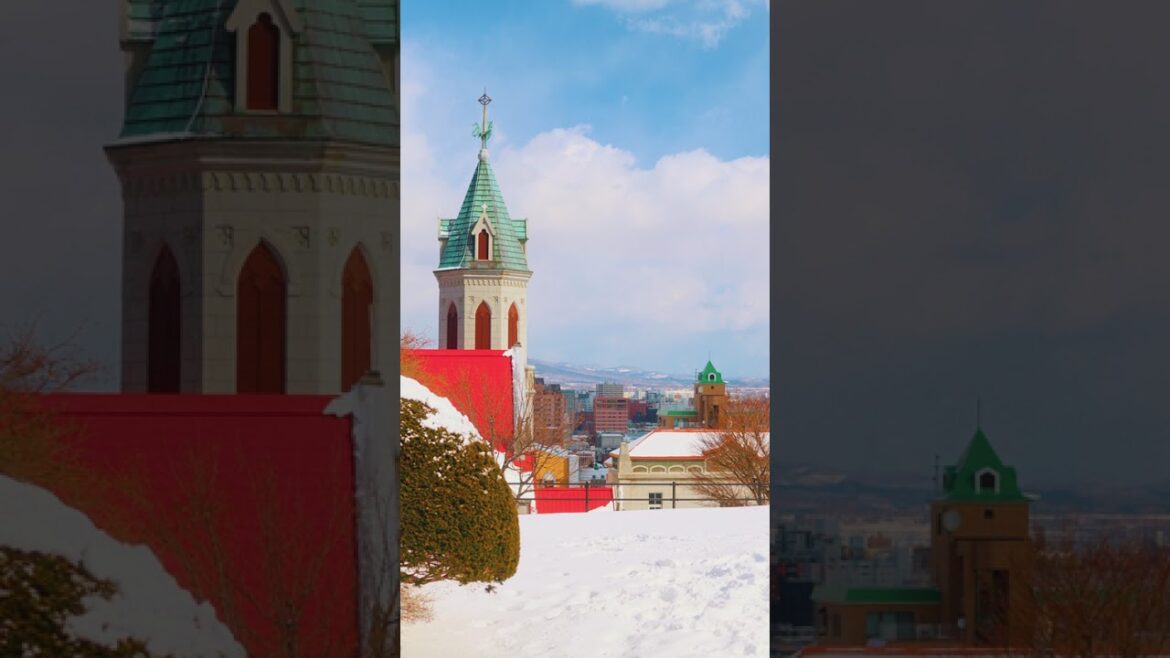 You’ve Never Seen Japan Like This ❄️🇯🇵#japan #travel #snow You’ve Never Seen Japan Like This ❄️🇯🇵#japan #travel #snow