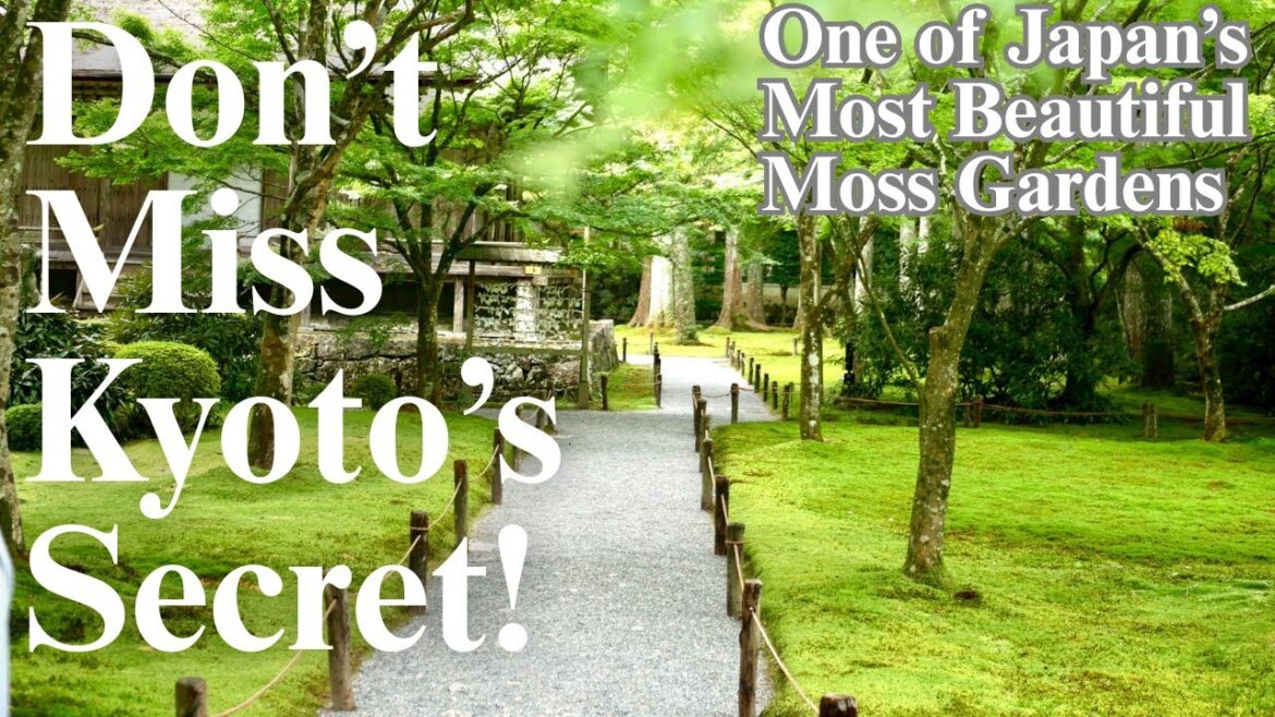 【4K】 Sanzen-in temple.Secret Green Garden in KYOTO:Must-Visit Japan Moss Temple.