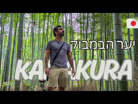 יצאנו לבדוק מה יש מסביב לטוקיו | וולוג יפן פרק 2 יצאנו לבדוק מה יש מסביב לטוקיו | וולוג יפן פרק 2