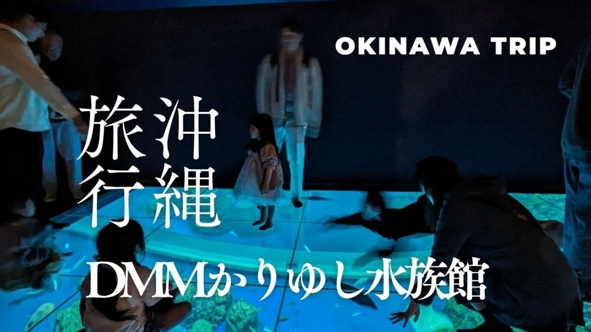 『DMM かりゆし水族館』編/沖縄旅行 OKINAWA TRIP #かりゆし水族館 #かりゆし #沖縄旅行 『DMM かりゆし水族館』編/沖縄旅行 OKINAWA TRIP #かりゆし水族館 #かりゆし #沖縄旅行