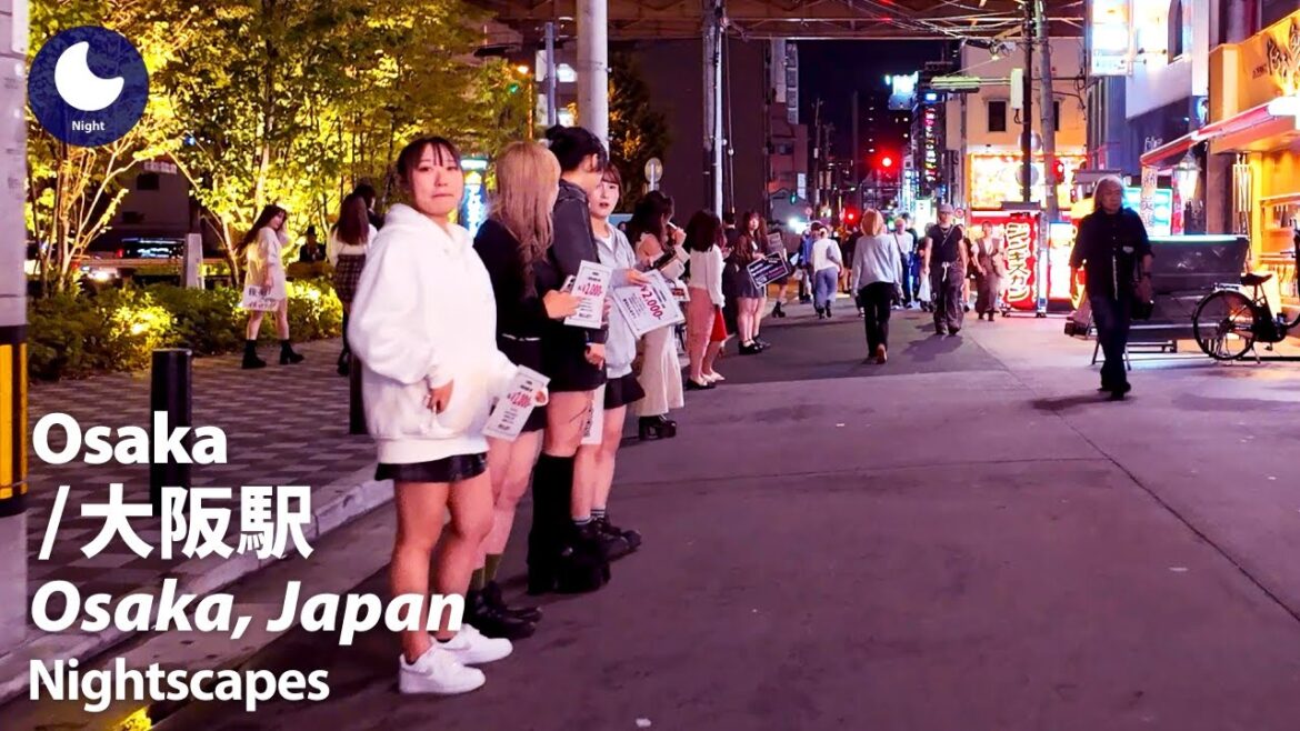 ⁴ᴷ Osaka: Osaka Station (大阪府: 大阪駅) - Japan Walking Tour (October, 2025)