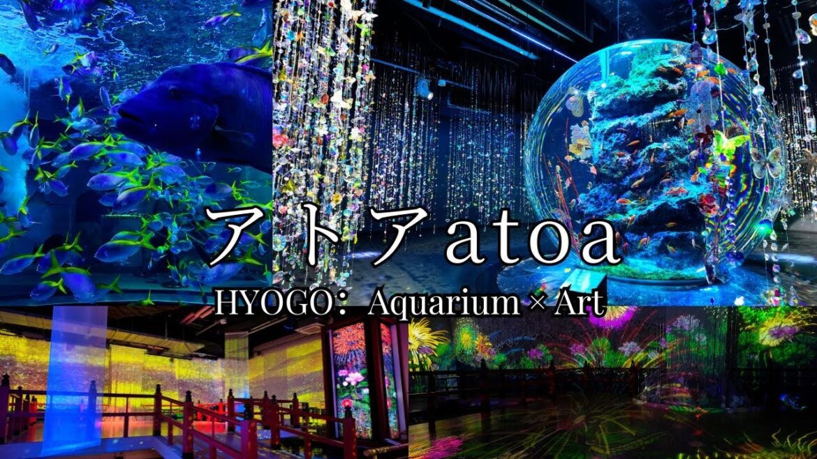 幻想的なアート水族館!舞台美術とデジタルアートが融合する光と水の世界に行ってみた!:『アトア atoa:兵庫』 幻想的なアート水族館!舞台美術とデジタルアートが融合する光と水の世界に行ってみた!:『アトア atoa:兵庫』