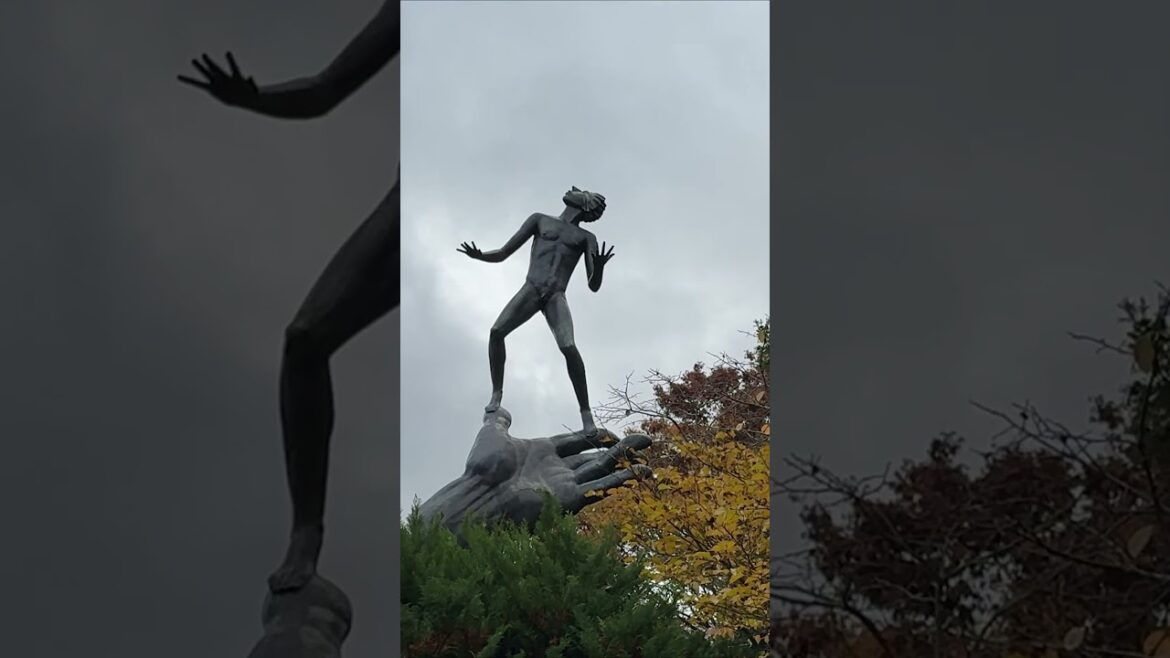 Hakone Open Air Musem #Shorts #art #artwork #artist #travel #travelvlog #japan #museum #park