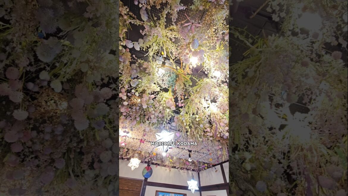 NAGOYA 3-DAY ITINERARY: Moricafe Kodama, Inu Shrine, Ghibli Park, Shirakawa-go