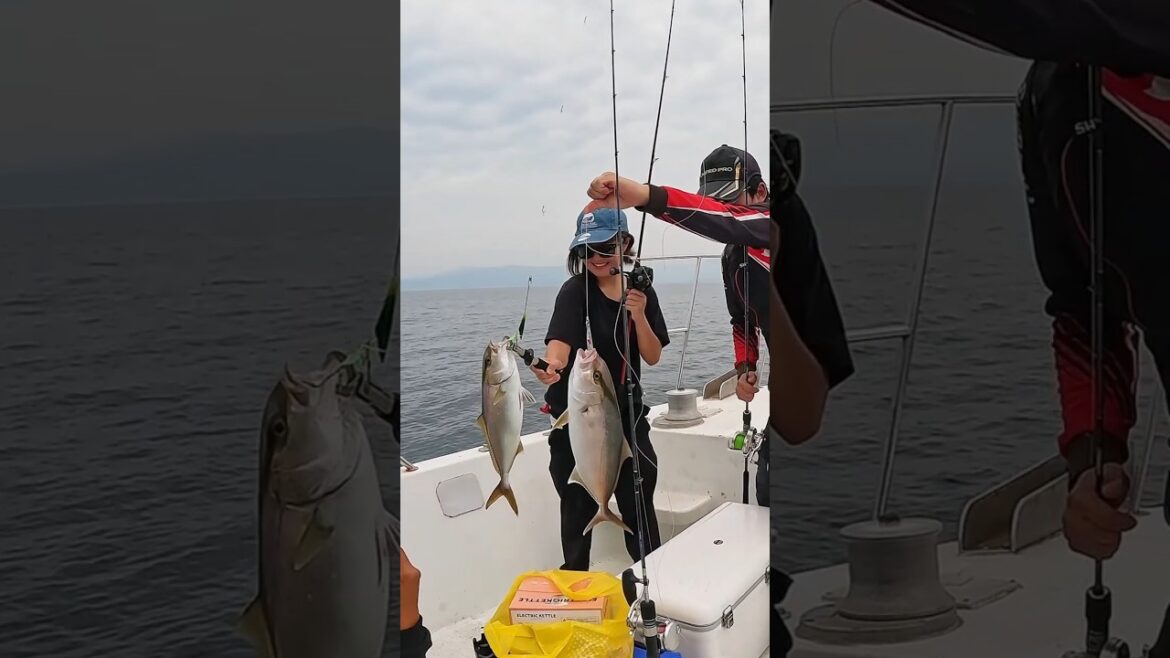You Should Try Charter Fishing in Japan! Catch and Eat! Kagoshima Bay #japanfishing