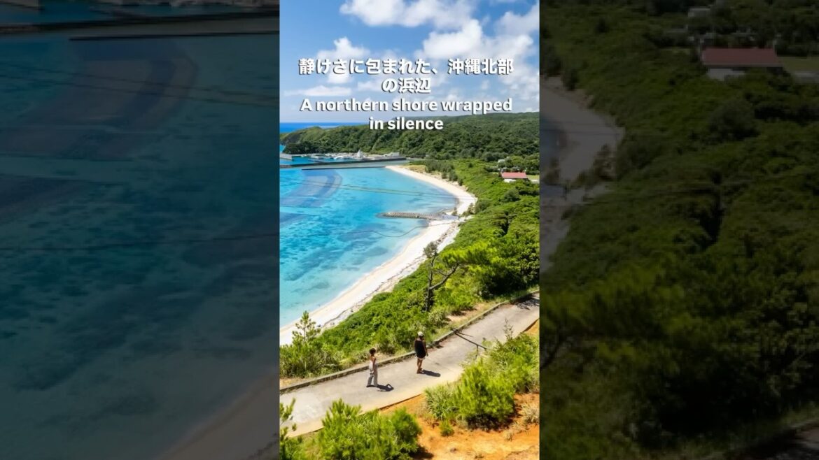 沖縄北部やんばる｜まだ知られていない青　Yanbaru Okinawa｜A blue still unknown