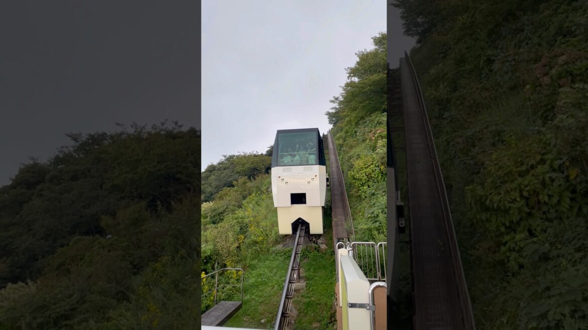 Travel Vlog: Exploring Mount Sarakura in Kitakyushu – A Hidden Gem in Japan Travel Vlog: Exploring Mount Sarakura in Kitakyushu – A Hidden Gem in Japan