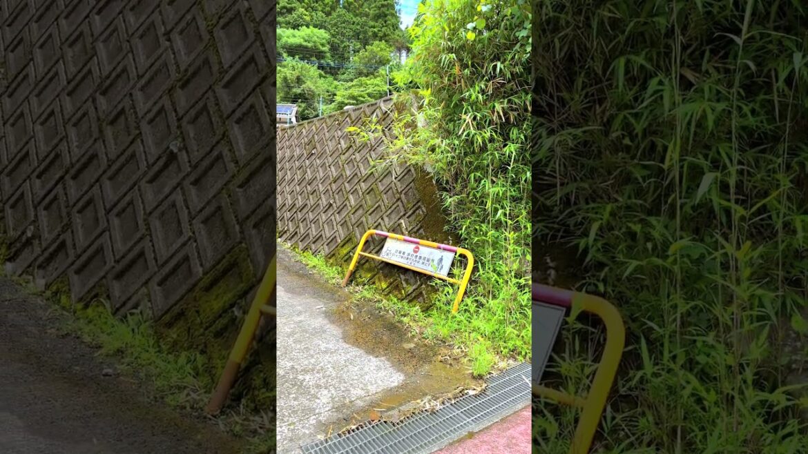 Japan's countryside scenery: Hasako in Ichiwatase, Minamata, Kumamoto, Japan. #japaneselandscape