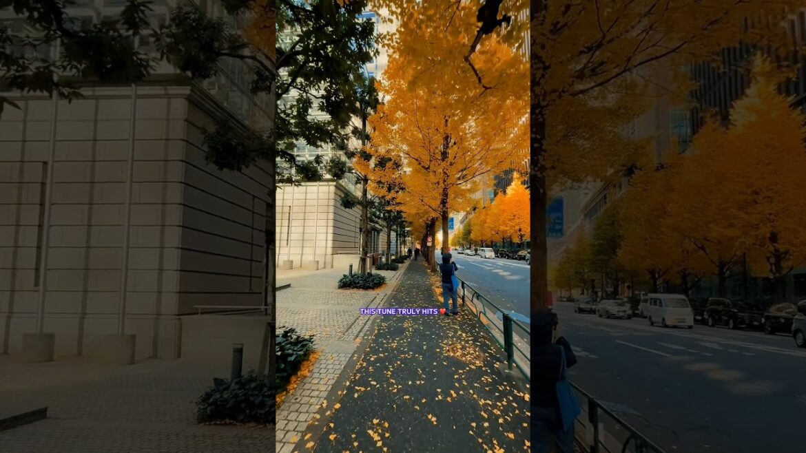 This tune truly hits #saiyaara #japan #travel #shorts #shortvideo #autumn