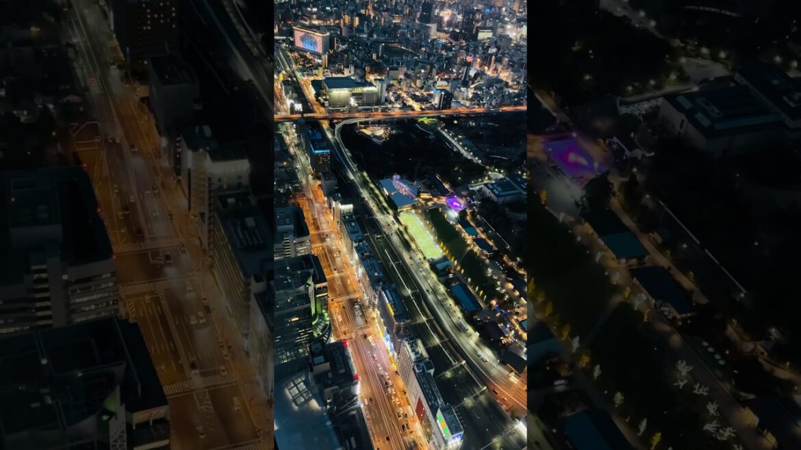 大阪の夜景🌃 | Osaka at Night 🌕