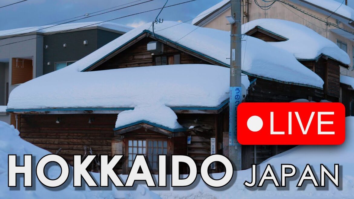 Winter Walk in  Hokkaido - JAPAN