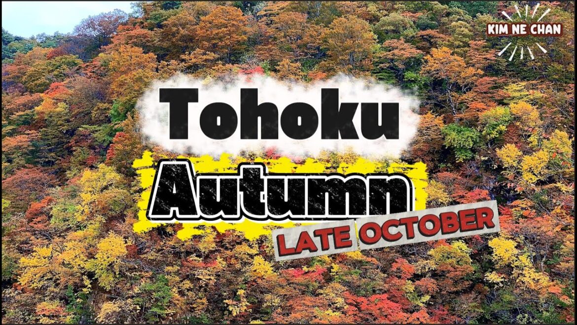 Visit Japan hidden Autumn Spots | Hakkoda, Oirase Gorge, Lake Towada & Naruko Gorge Fall Colors