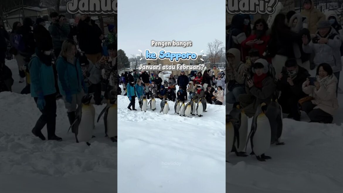 Sapporo di bulan Februari ! sama Howliday Travel #japan #traveljepang