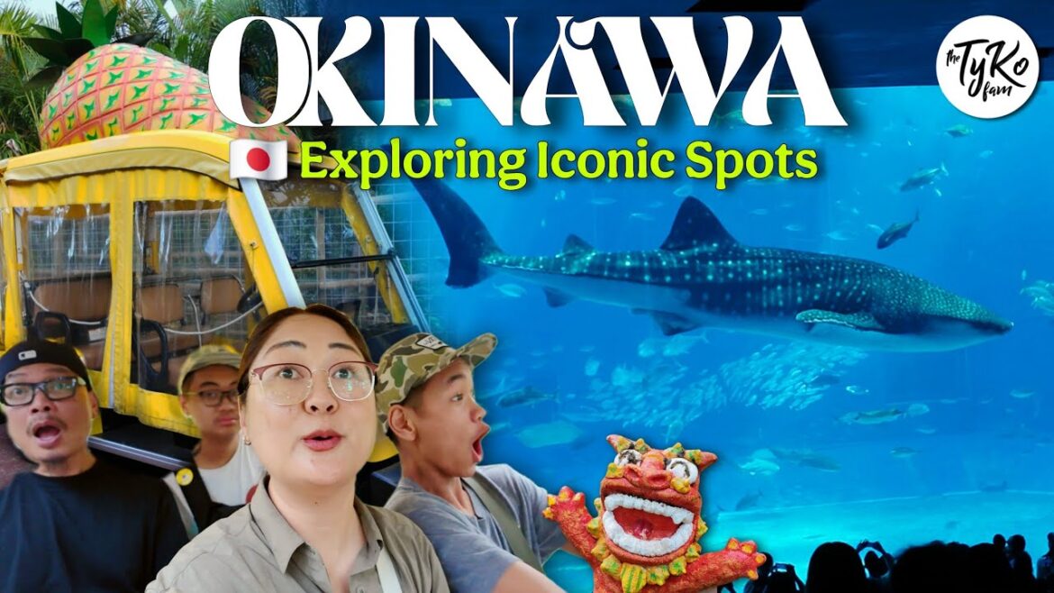Churaumi Aquarium 🐋 & Nago Pineapple Park 🍍 | Exploring Iconic Okinawa Spots