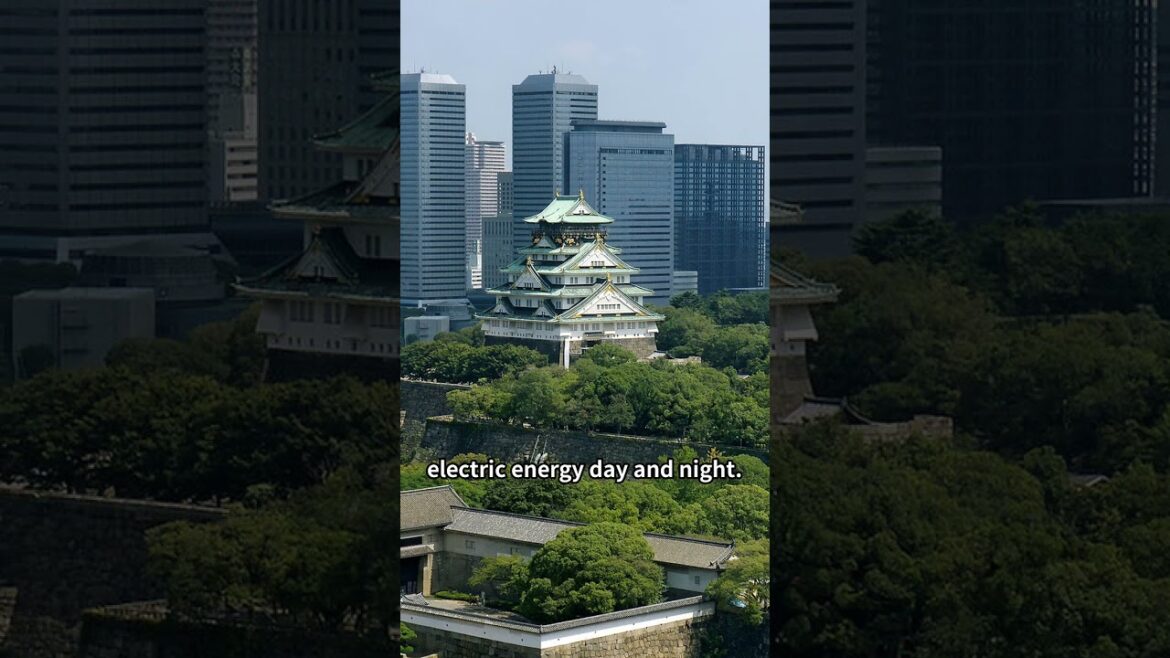 3 Attractions of Osaka　#japan #japantravel #osaka #shortvideo #shorts