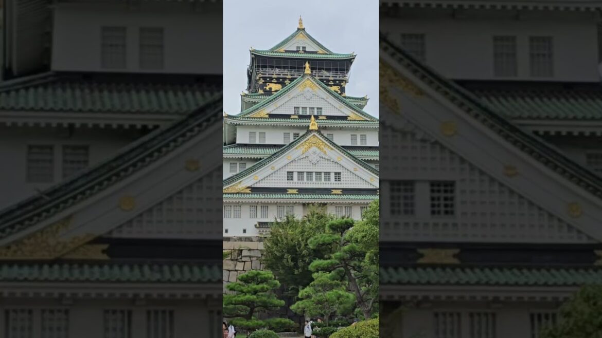 Osaka Castle lake | Japan