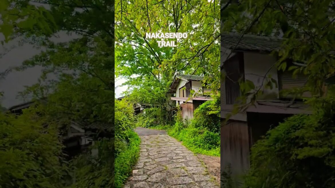 Japan’s Best Places You Didn’t Know Existed! 📍Nakasendo trail, Gifu, Japan #japantravel #visitjapan Japan's Best Places You Didn't Know Existed! 📍Nakasendo trail, Gifu, Japan #japantravel #visitjapan