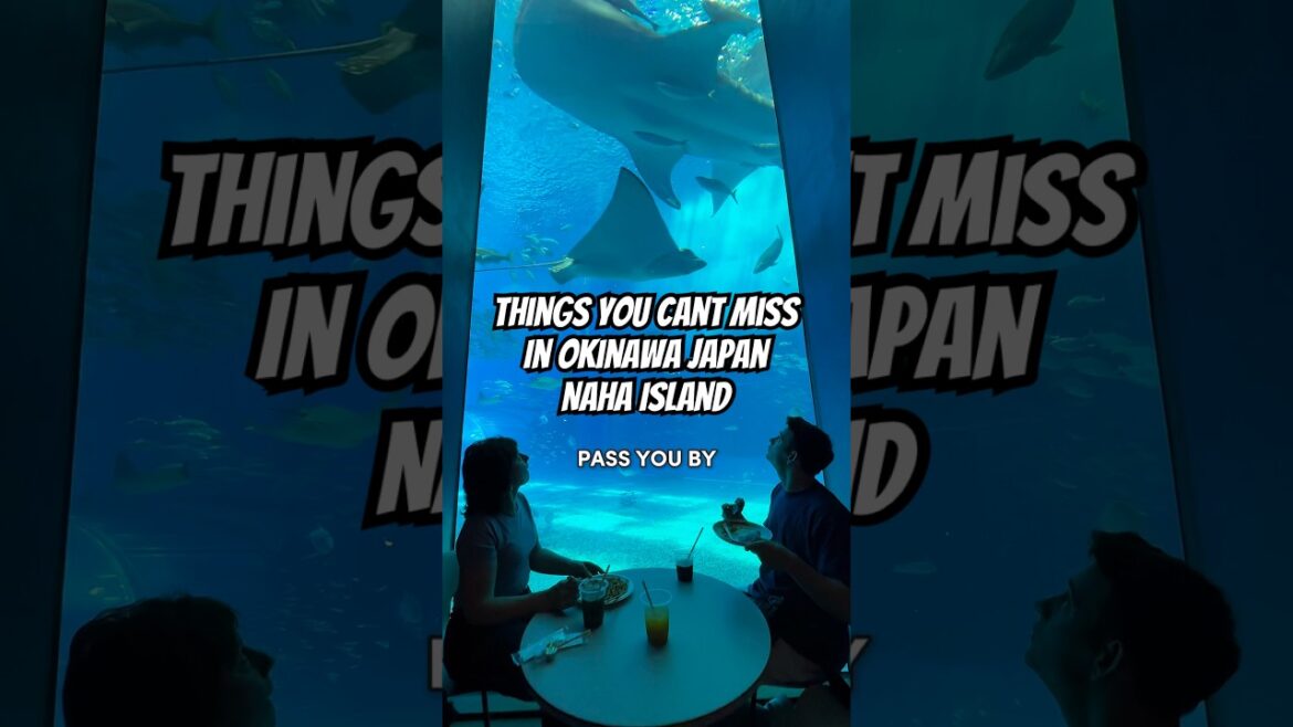 Things you can’t miss when visiting Naha Okinawa Japan 🦈🏝️ Things you can’t miss when visiting Naha Okinawa Japan 🦈🏝️