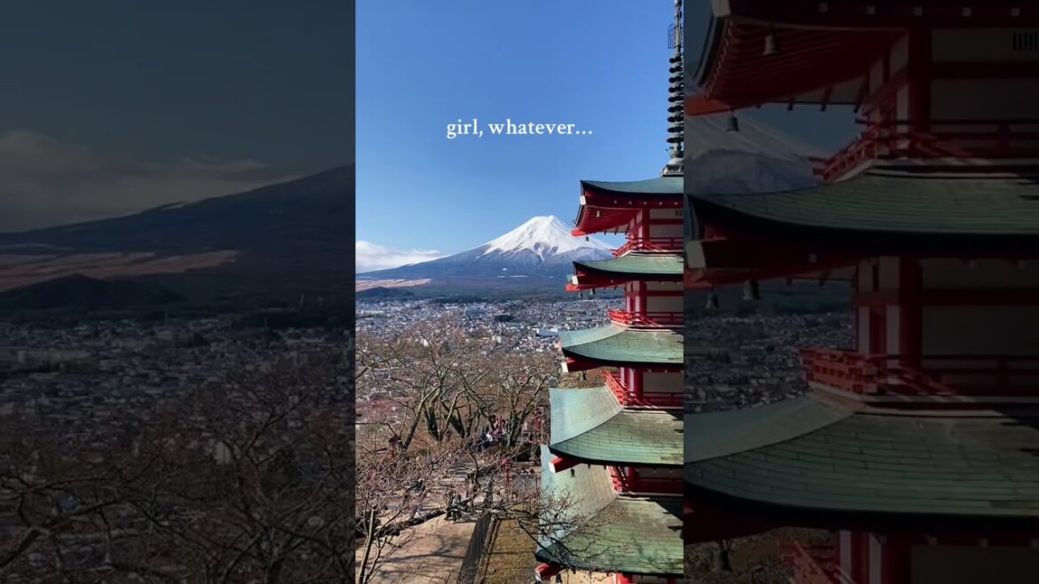 Mount Fuji Views! #travel #japan