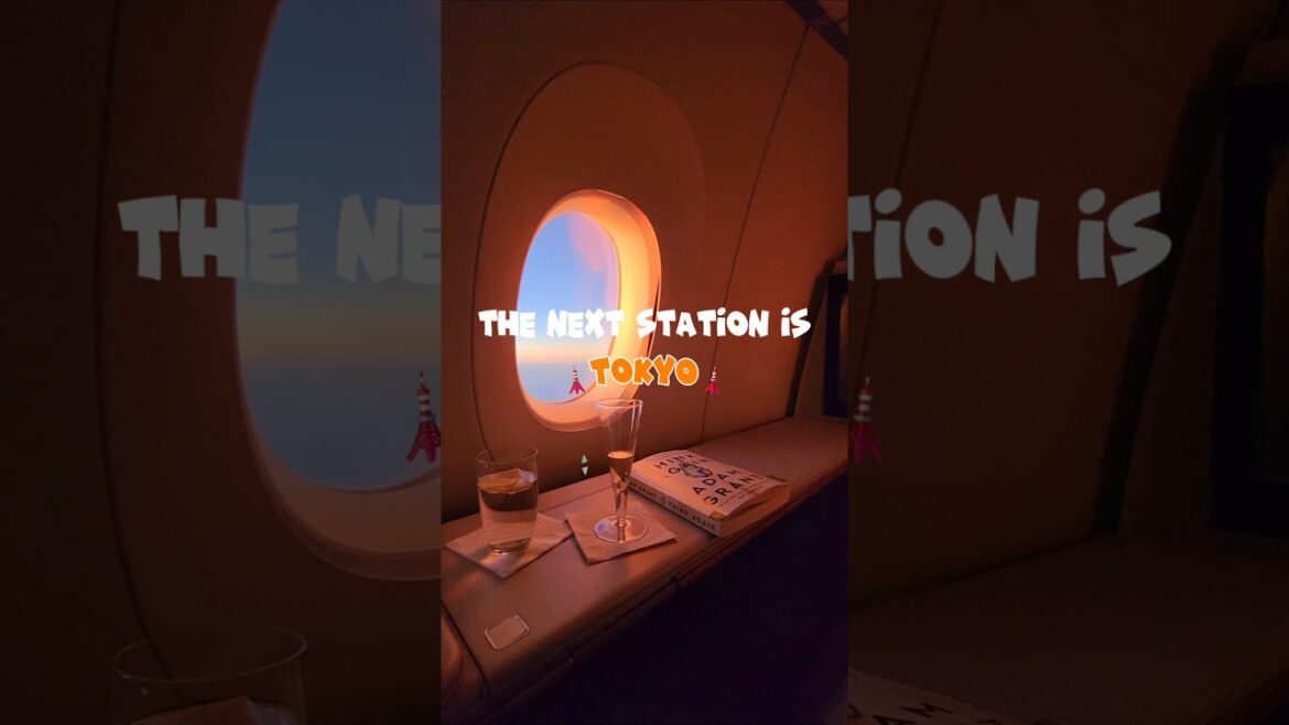 Tokyo Travel Tips: What FIRST TIMERS NEED TO KNOW Tokyo Travel Tips: What FIRST TIMERS NEED TO KNOW