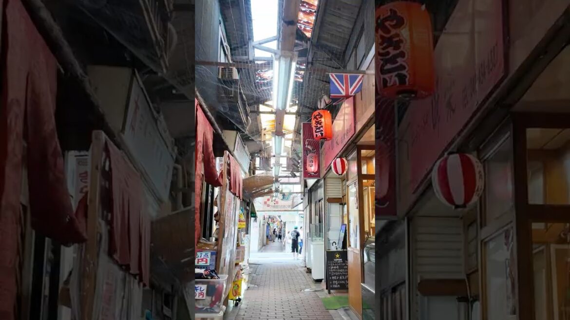 A Walk Through Yokohama’s Rokkakubashi Shopping Street, Japan! #japan #4k #walkingtour A Walk Through Yokohama’s Rokkakubashi Shopping Street, Japan! #japan #4k #walkingtour