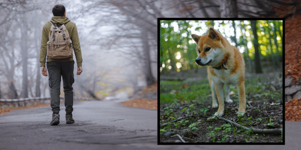 A man was walking across Japan alone for 256 days. Then he met a tiny Shiba Inu.