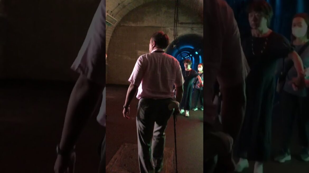 Kiyotsu Gorge’s Tunnel of Light Kiyotsu Gorge's Tunnel of Light