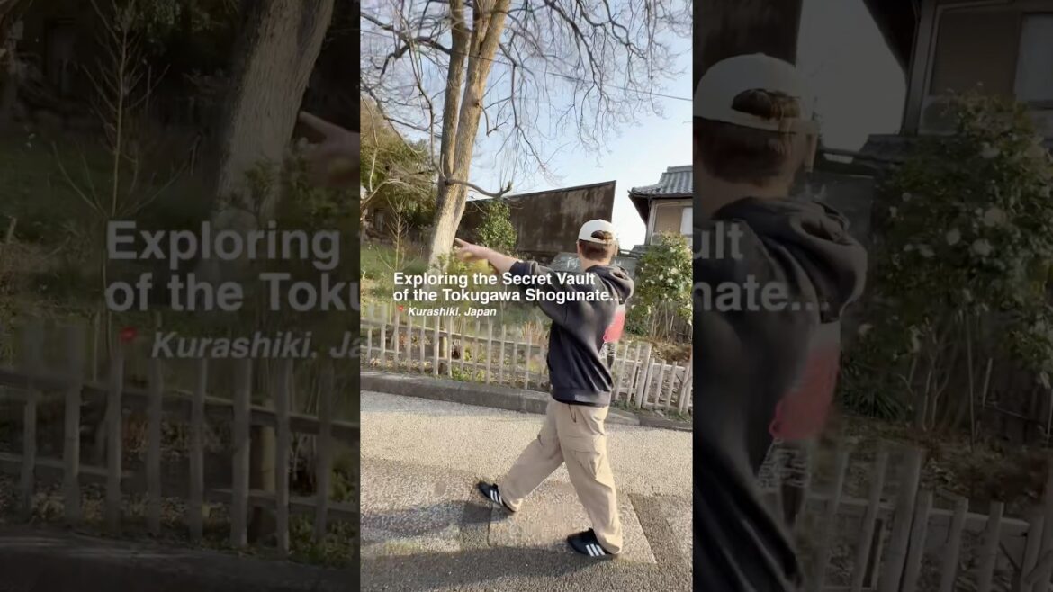 The Shoguns Secret Vault 🇯🇵