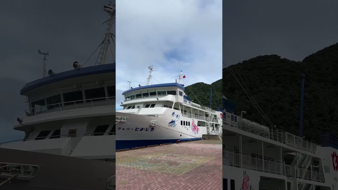 โOne day in Okinawa ๐ด๐ฏ๐ต Island vibes & ocean views ๐” #shorts #japan #travel โOne day in Okinawa ๐ด๐ฏ๐ต Island vibes & ocean views ๐" #shorts #japan #travel