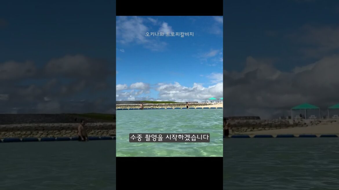 #일본 #오키나와 #다운타운 #국제거리 #오키나와여행 #오키나와해변 #오키나와쇼핑 #오키나와바다 #오키나와맛집 #오키나와호텔 #오키나와도미토리 #오키나와게스트하우스 #일본 #오키나와 #다운타운 #국제거리 #오키나와여행 #오키나와해변 #오키나와쇼핑 #오키나와바다 #오키나와맛집 #오키나와호텔 #오키나와도미토리 #오키나와게스트하우스