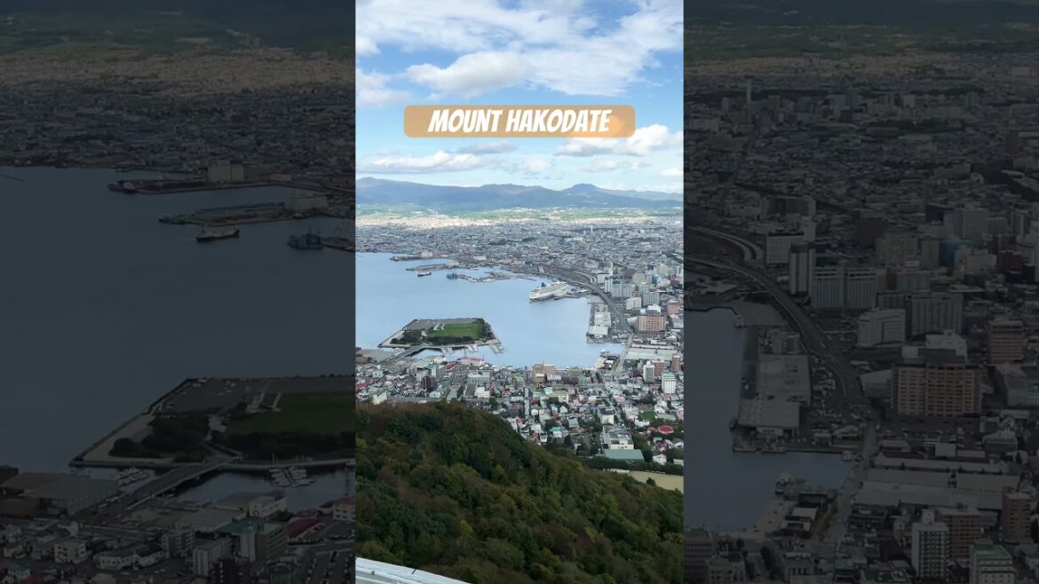 View from Mount Hakodate in Japan 🇯🇵 #travel #ncl #cruise #japan #hokaido