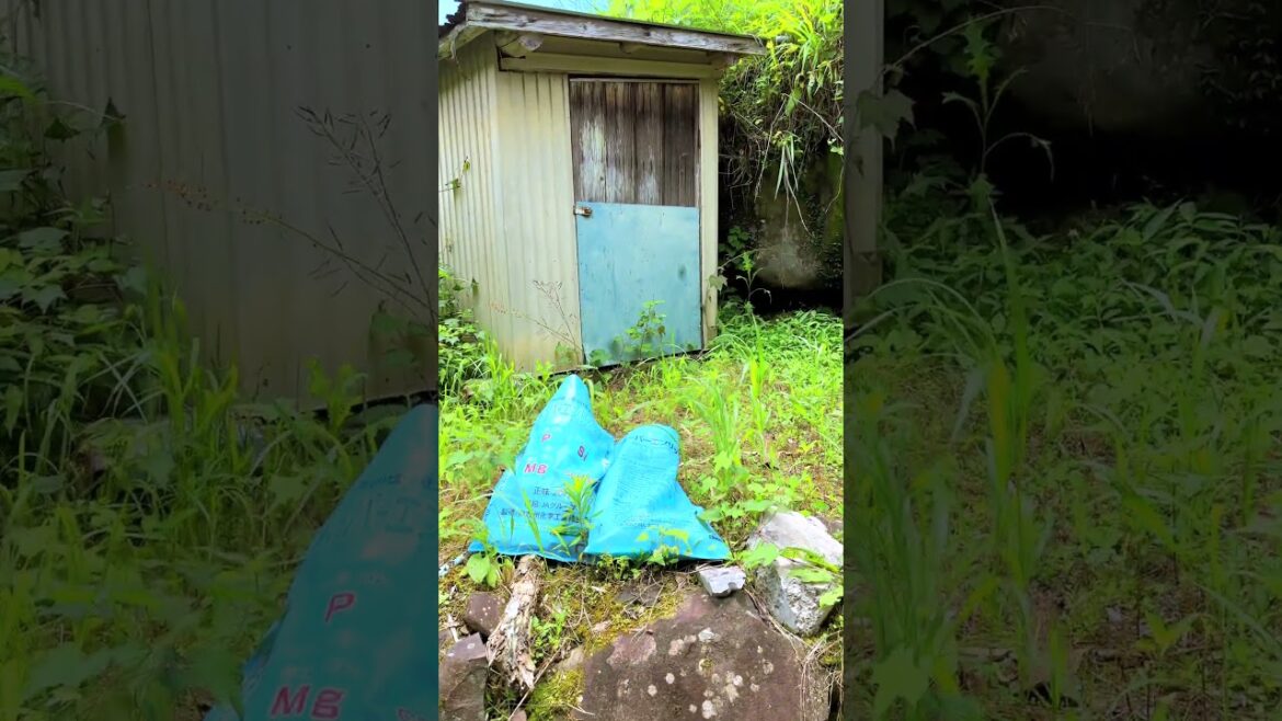 Japan’s countryside scenery: Hasako in Ichiwatase, Minamata, Kumamoto, Japan. #japaneselandscape Japan's countryside scenery: Hasako in Ichiwatase, Minamata, Kumamoto, Japan. #japaneselandscape