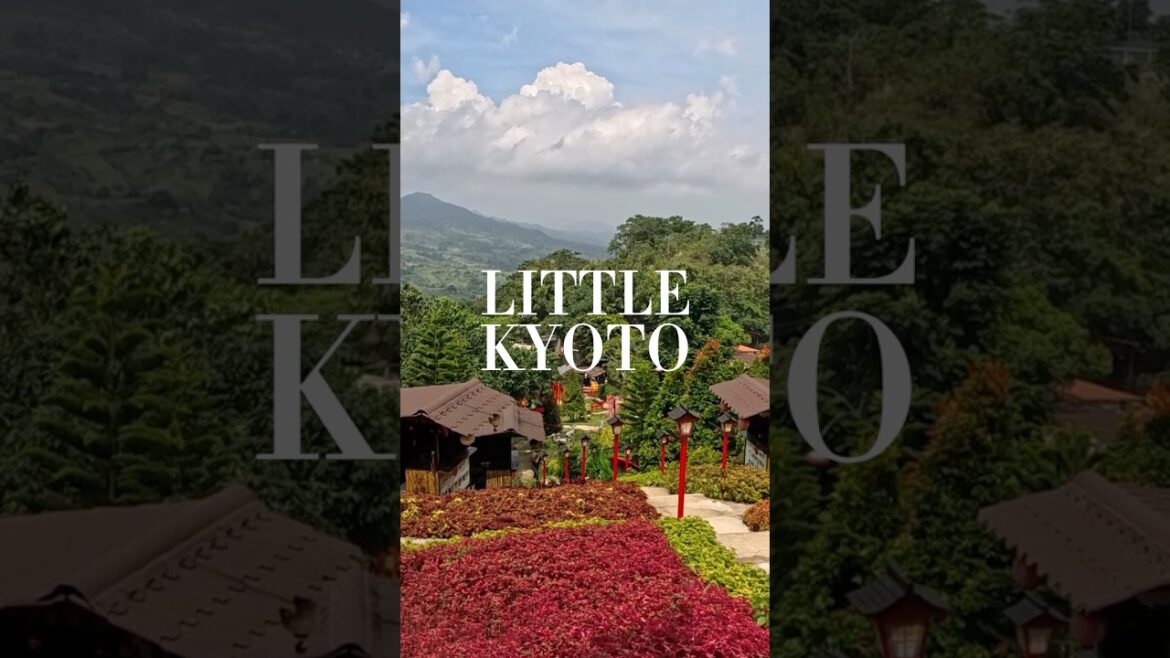Little Kyoto #travel #cebu #philippines #cebucity #kyoto