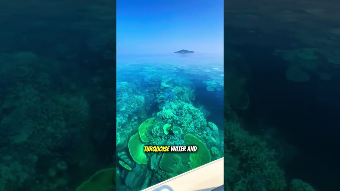 Secret Beach in Japan #Okinawa #JapanTravel #HiddenBeach Secret Beach in Japan #Okinawa #JapanTravel #HiddenBeach