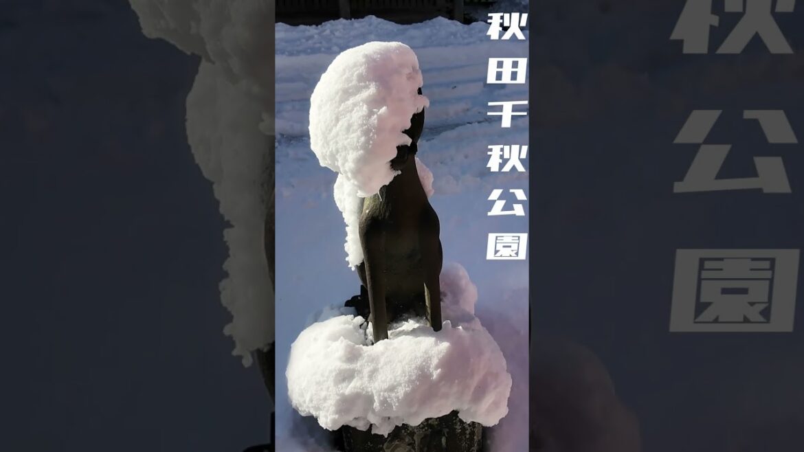 2024年12月 秋田千秋公園散歩 　December 2024: Walking around Akita Senshu Park #Shorts