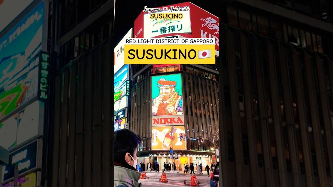 the SIN CITY of JAPAN? SUSUKINO | SAPPORO 🇯🇵 HOKKAIDO the SIN CITY of JAPAN? SUSUKINO | SAPPORO 🇯🇵 HOKKAIDO