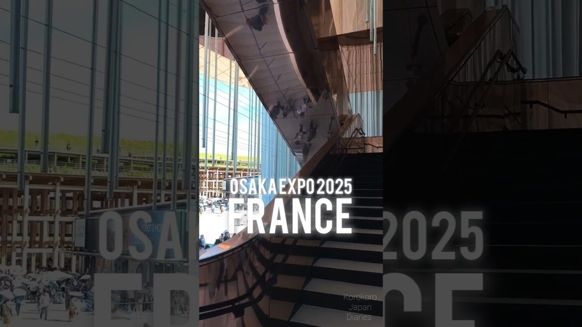 Inside France Pavilion Pure Art 🇲🇫 #japan #japantravel #osaka #osakaexpo2025 #france #pavilion