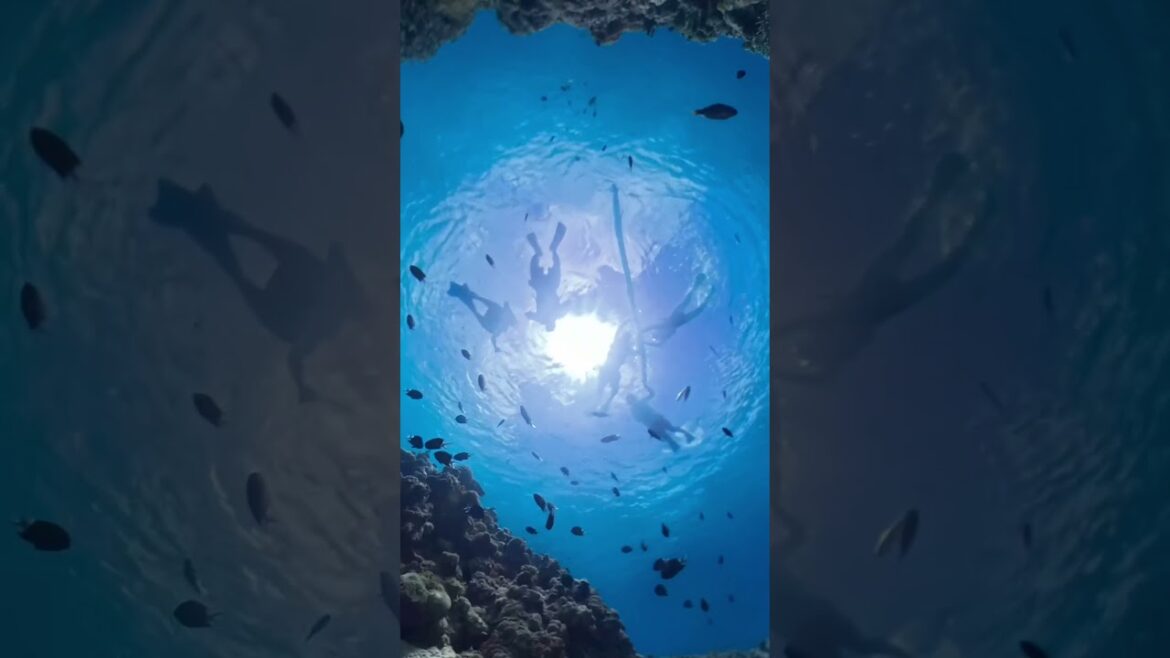 welcome to okinawa #okinawa #japan #travel