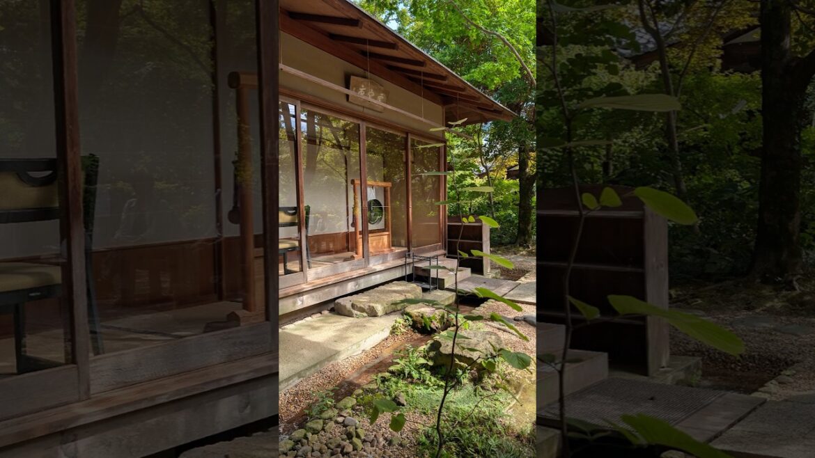 Kyoto Japan 🇯🇵 #travel #japan #kyoto