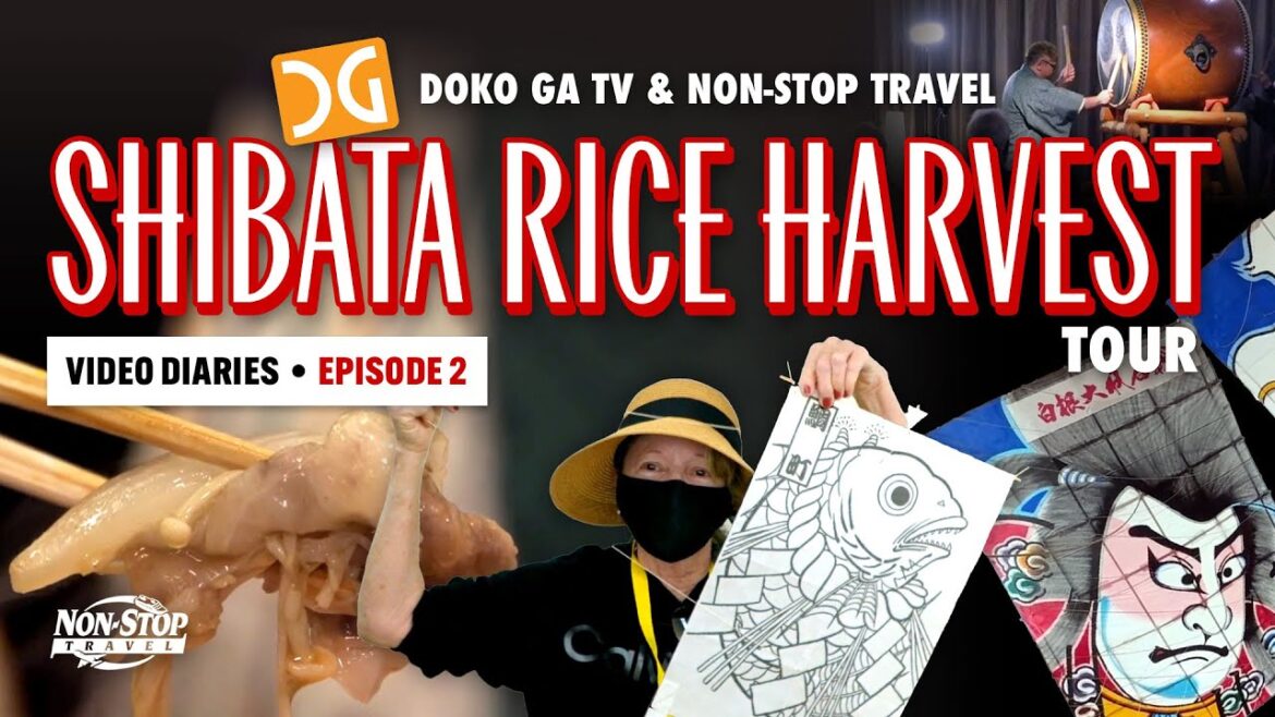 Shibata Rice Harvesting Tour: EP 2 Shibata Rice Harvesting Tour: EP 2