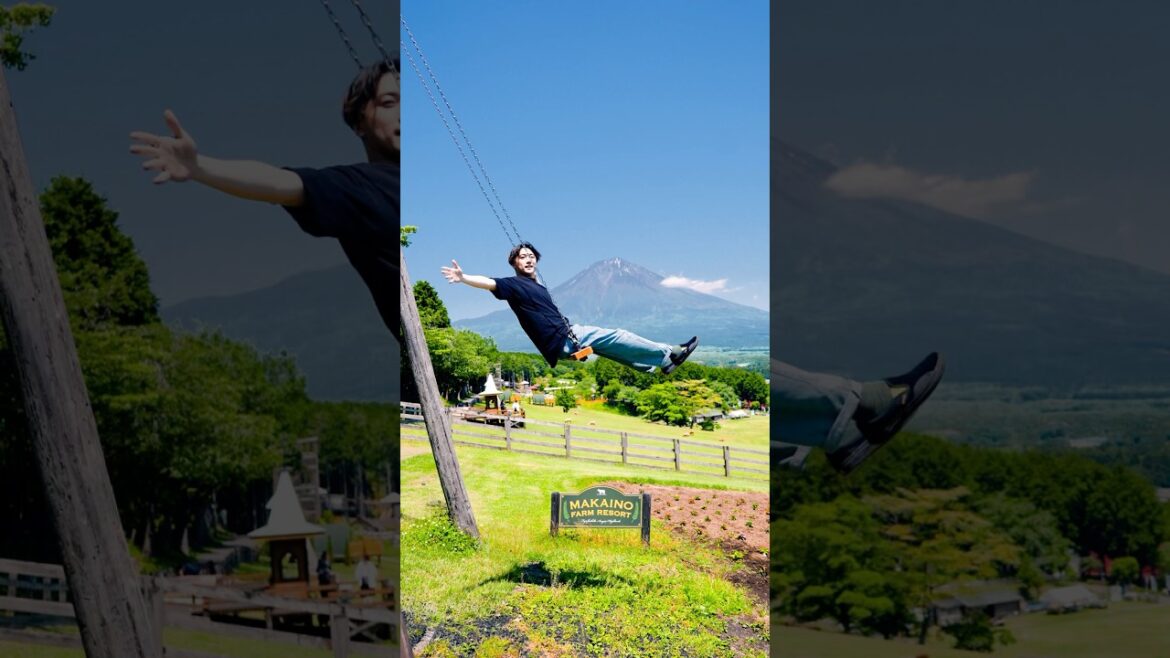 Secret Mt. Fuji Swing – Epic Japan Viewpoint⛰️#japan #travel