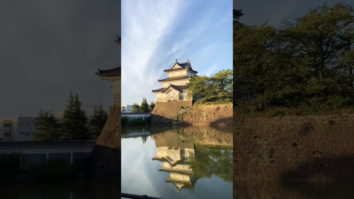 Travel in Niigata, JAPAN🇯🇵 (short version) #japan #niigata #travel #scenery