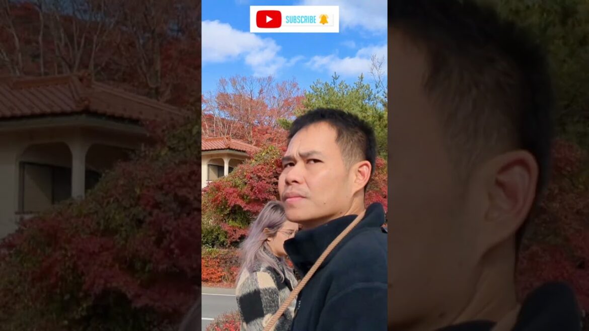 Japan in winter l Kawaguchiko #shorts #ytshorts #travel