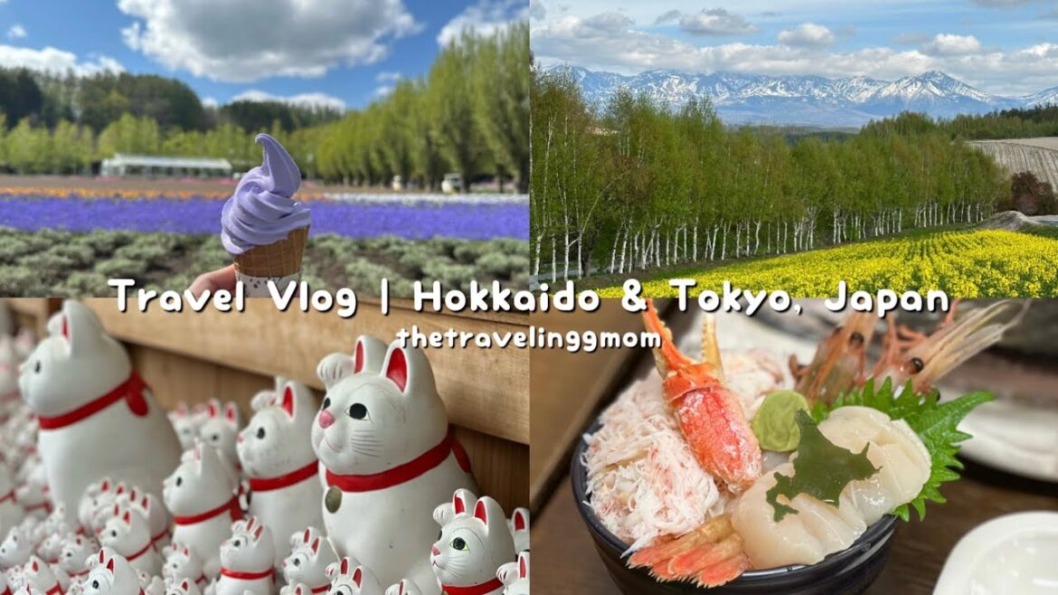 [VLOG] Hokkaido & Tokyo | Spring 2024 | Lake Toya | Otaru | Hakodate | Furano | Sapporo | Tokyo