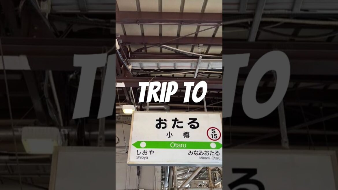 Trip to Otaru #shorts #otaru #dandadan  #hokkaido