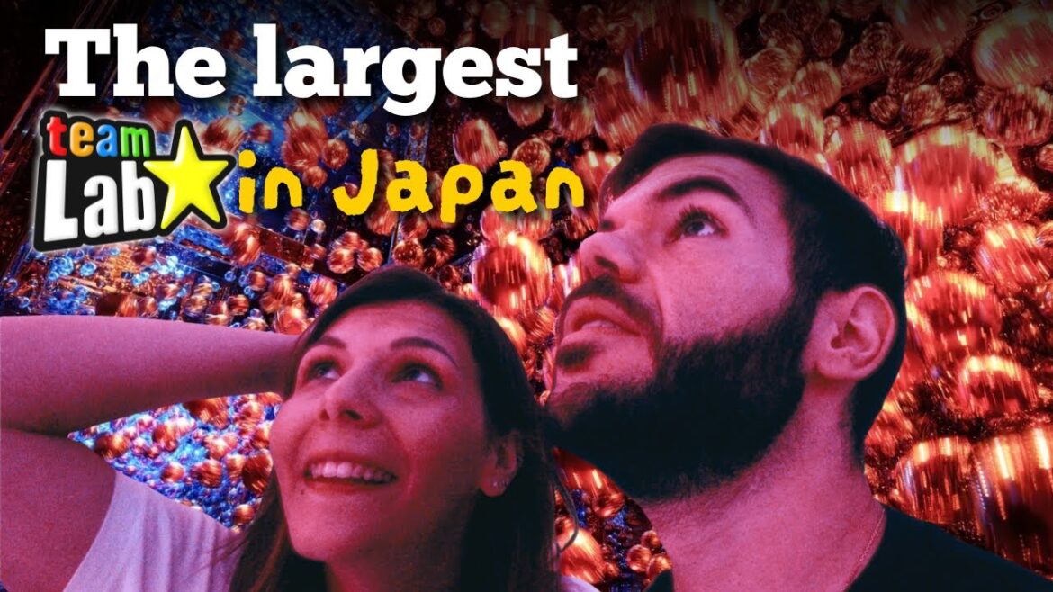 This Is the ONLY TeamLab You’ll Want to Visit — Kyoto’s New Biovortex! This Is the ONLY TeamLab You’ll Want to Visit — Kyoto’s New Biovortex!