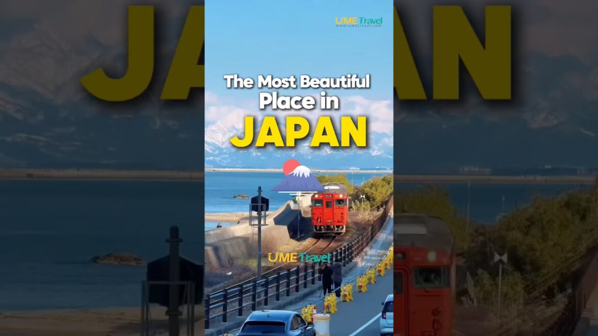 The Most Beautiful Place in Japan #umetravel #japantravel #japantour #japan